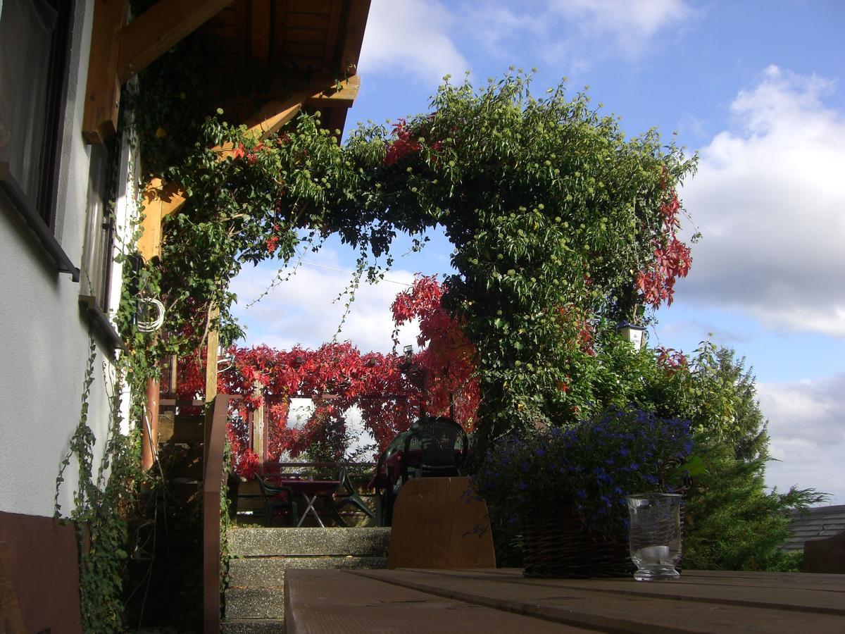 Hotel Dachsberger-Hof Wittenschwand 外观 照片
