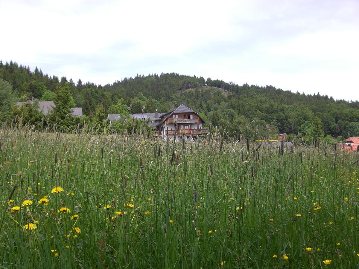 Hotel Dachsberger-Hof Wittenschwand 外观 照片