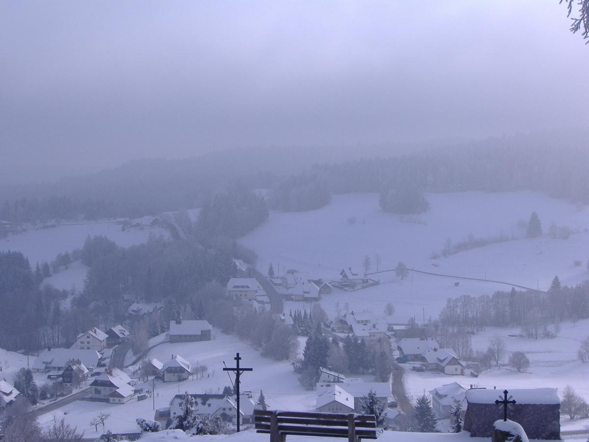 Hotel Dachsberger-Hof Wittenschwand 外观 照片