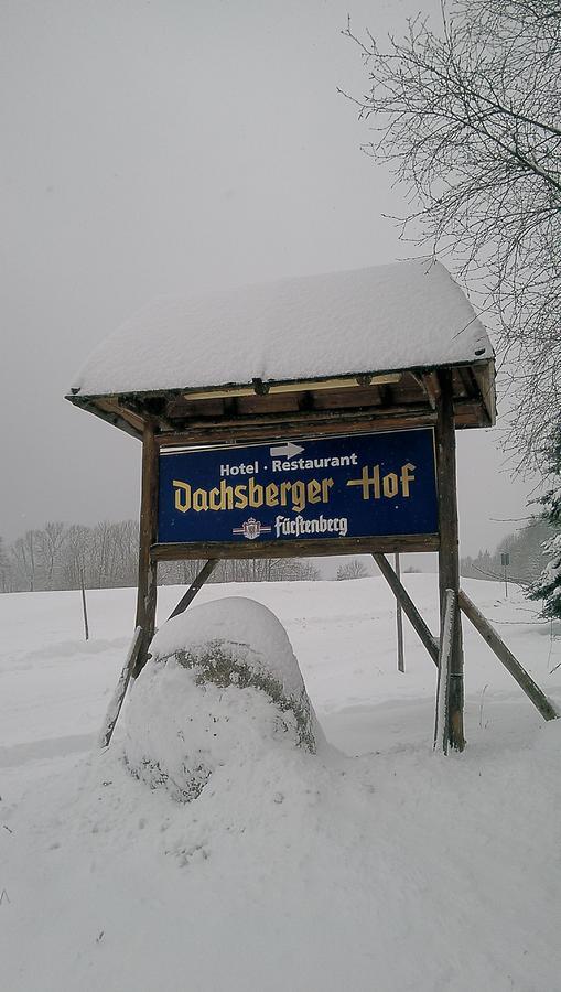 Hotel Dachsberger-Hof Wittenschwand 外观 照片
